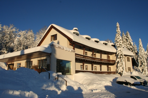 Bödele Alpenhotel